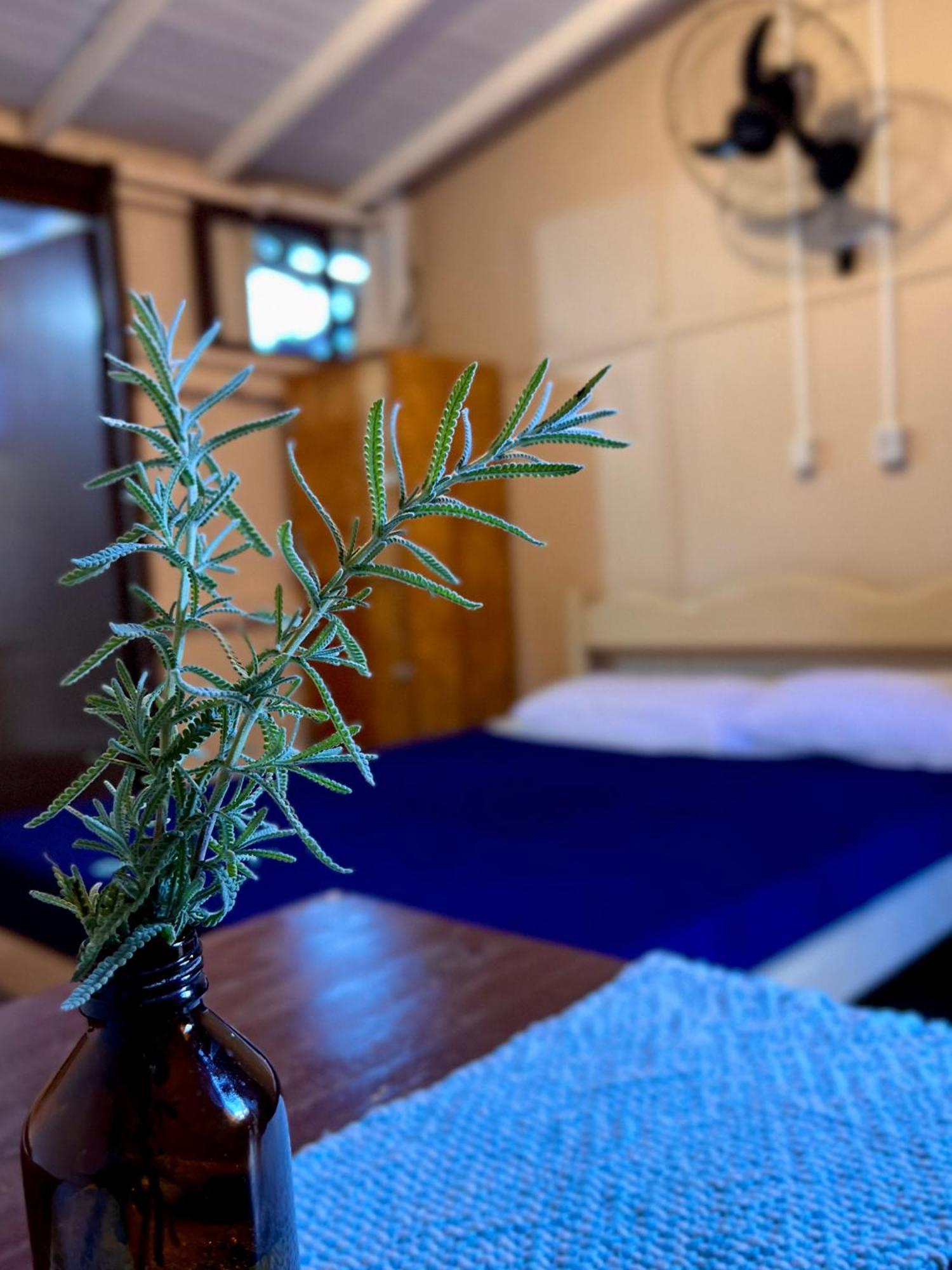 Hostel Antonio Pescador - Centro Da Guarda do Embaú Szoba fotó